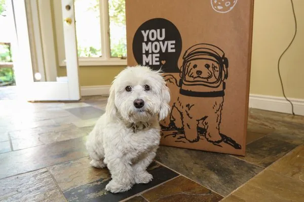 You Move Me photo 2
